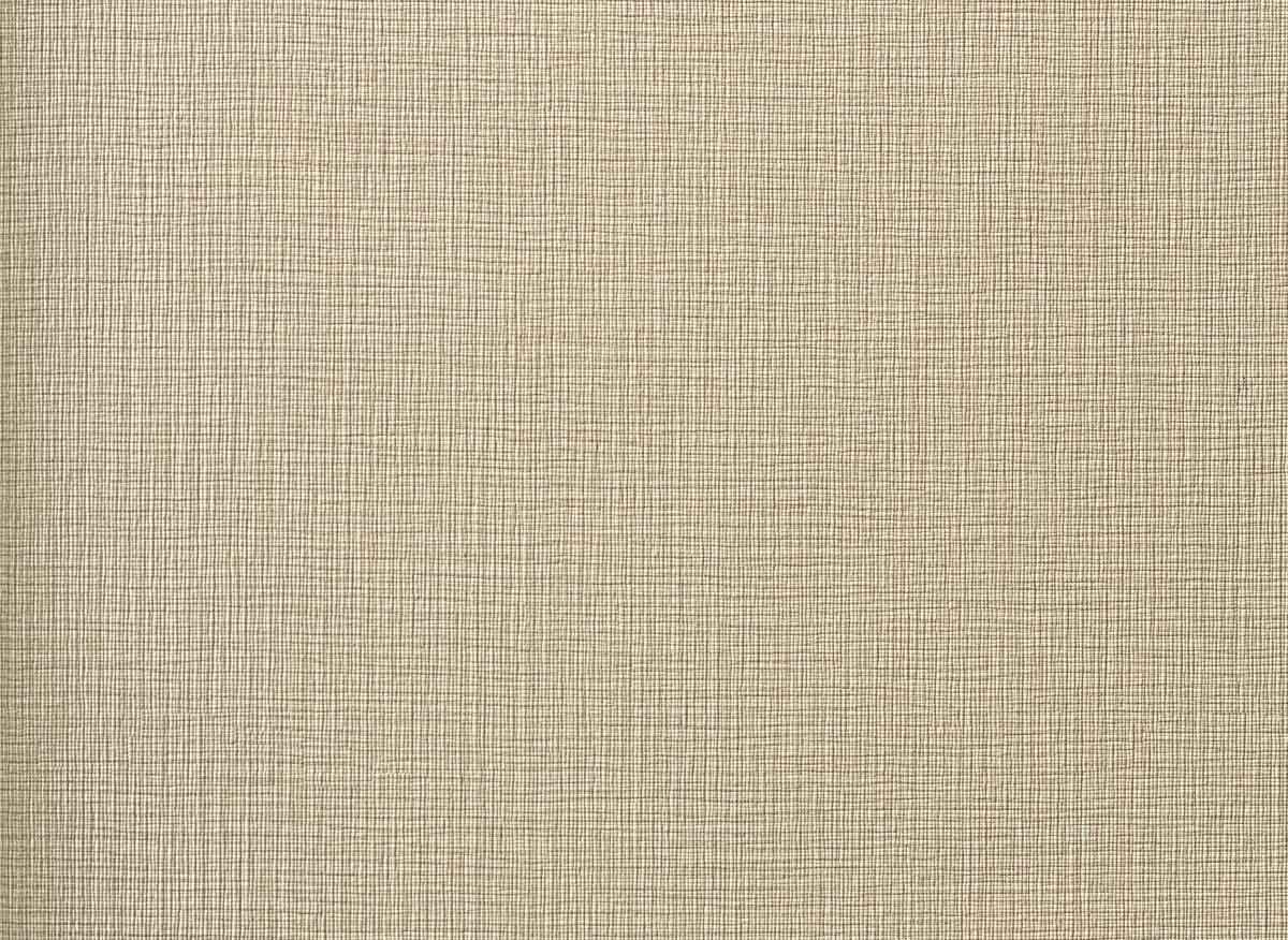 Augus I LA0204 44