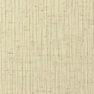 Augus I LA0501 30