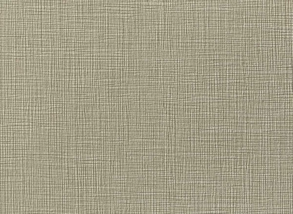 Augus II LB0603 33