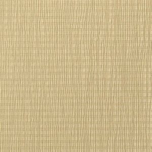 Augus II LB0704 03