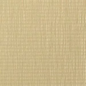 Augus II LB0704 03