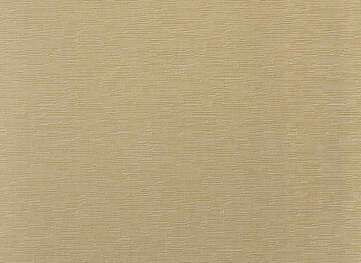 Augus II LB0804 20