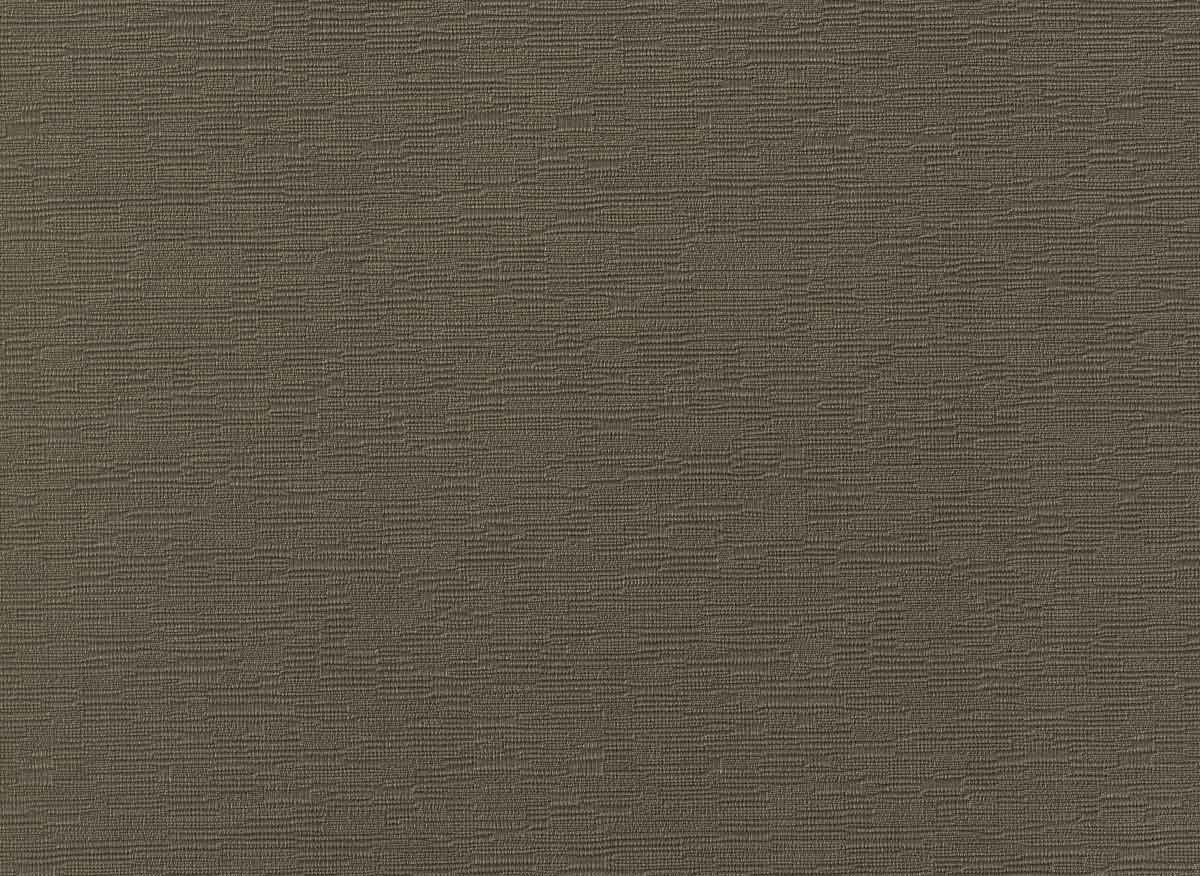 Augus II LB0809 23