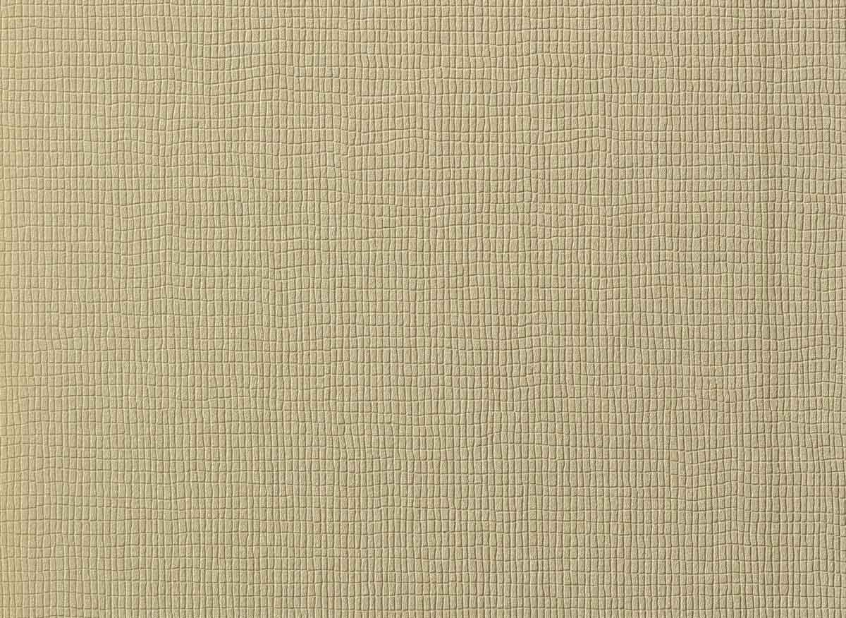 Augus II LB1004 13
