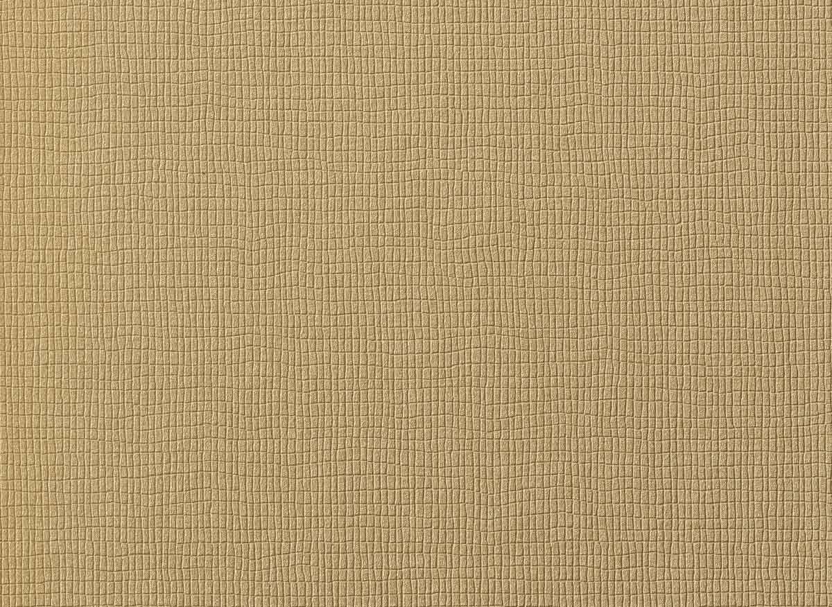 Augus II LB1006 16