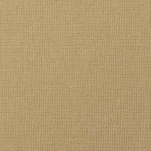 Augus II LB1006 16