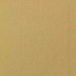 Augus II LB1007 15
