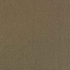 Augus II LB1009 18