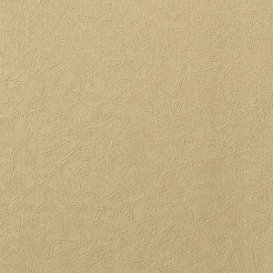 Augus III LC1502 21