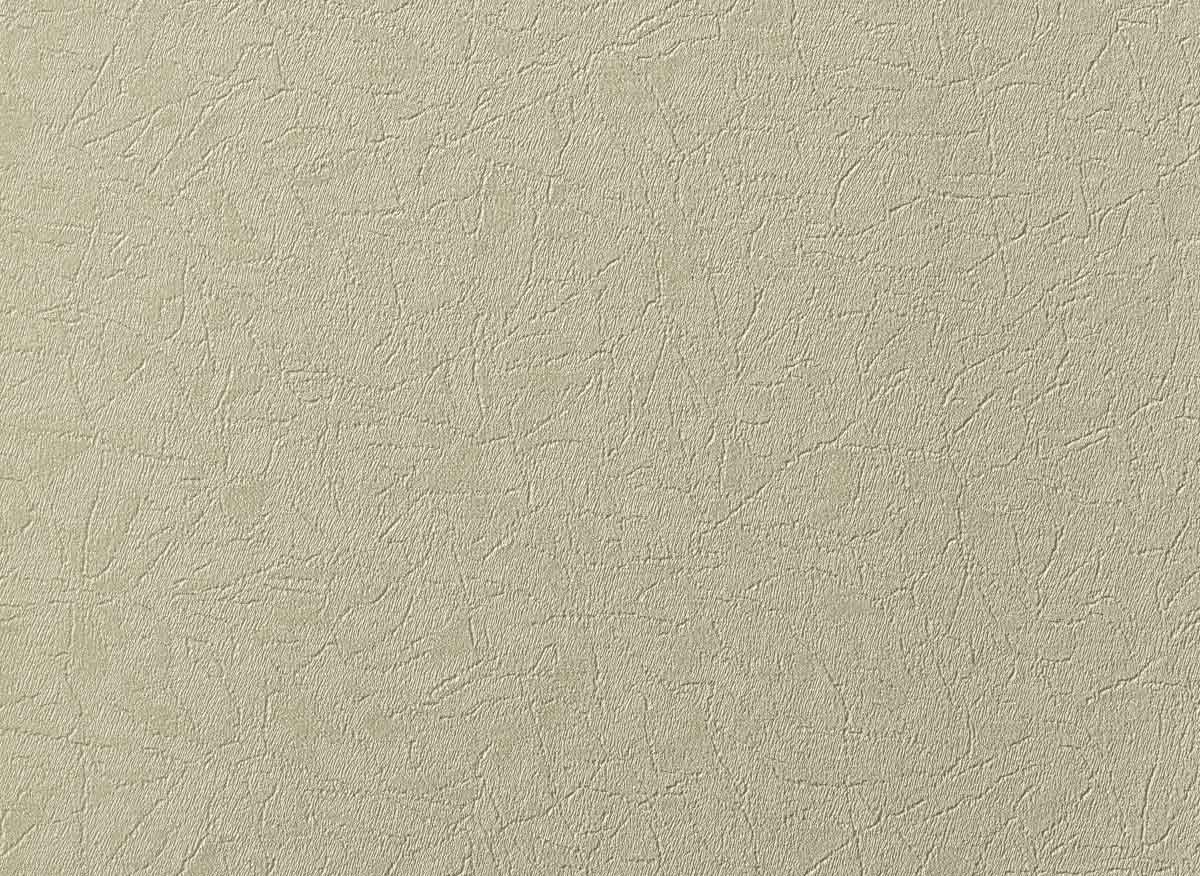 Augus III LC1505 24