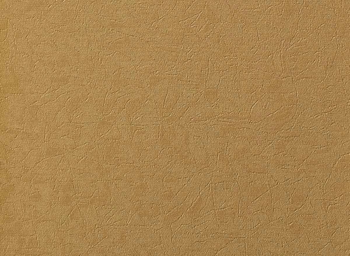 Augus III LC1509 28