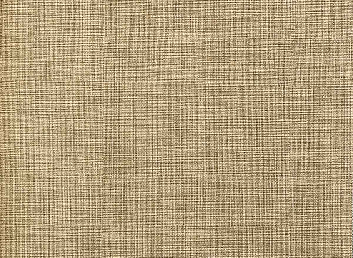 Elis II L2 B029 30
