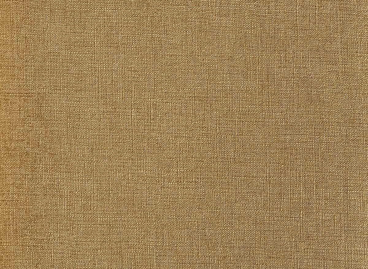 Elis III L5 E007 07