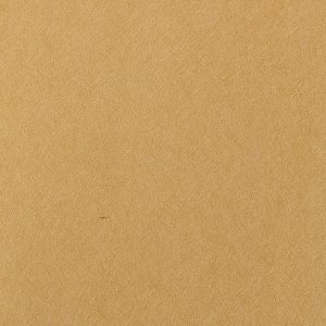 Elis III L5 E019 19