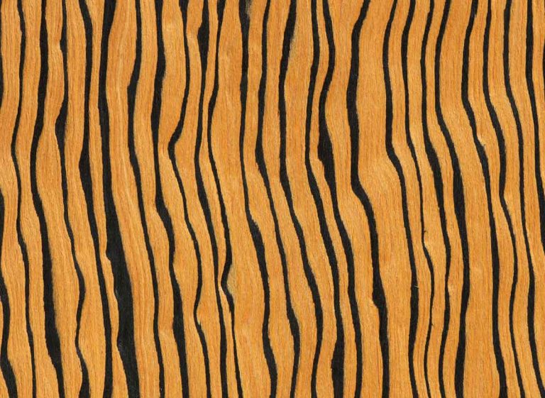 TEA H 51 Zebrano Kök Teska Decorative Materials TEA H 51 Zebrano Kök Teska Decorative Materials