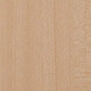 The Best VW801 Maple