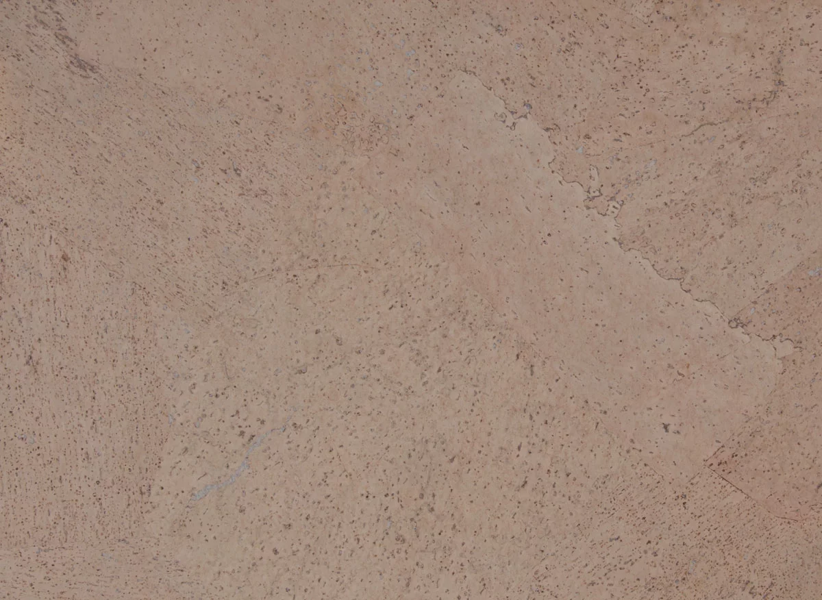 Teska Mantar Duvar Kaplama