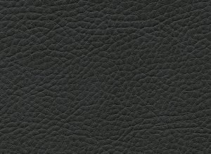 Skai Parotege NF F6461663