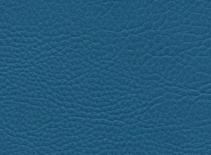 Skai Parotege NF F6461709