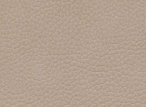 Skai Parotege NF F6461661
