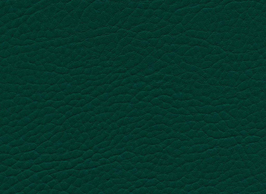 Зеленая кожа ткань. Зеленая кожа что это. Зеленая кожа что это. Зеленая кожа что это. Зеленая ткань.