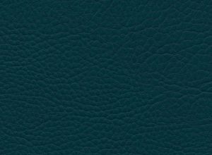 Skai Parotege NF F6461766