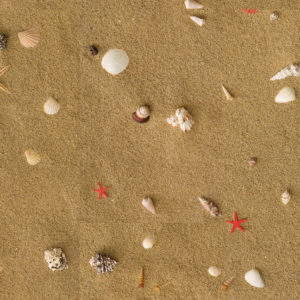 Lico 200207 - Beach With Shells Dekoratif Mantar Zemin Kaplama