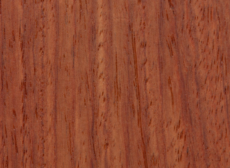 TESKA Ahşap Panel K6136AS Padauk Doğal Ahşap Duvar Kaplaması