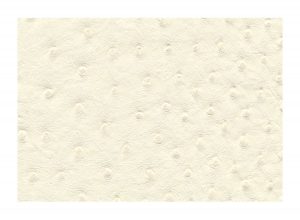 Skai Aliena Beige F6321099