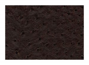 Skai Aliena Mocca F6321052