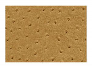 Skai Aliena Sattel F6321113