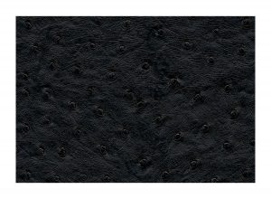 Skai Aliena Schwarz F6321053