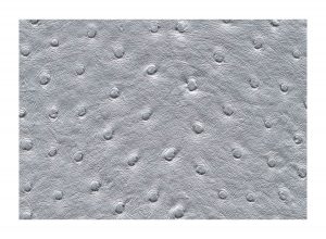 Skai Aliena Silber F6321301