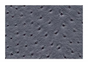Skai Aliena Steel F6321265