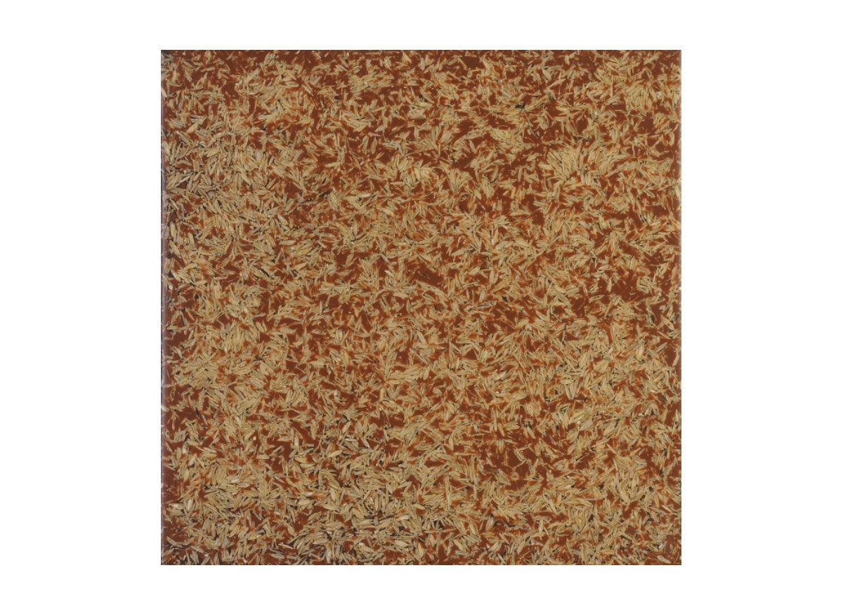 HMT Sahara Gabon Brown Polished Doğal Laminat Panel
