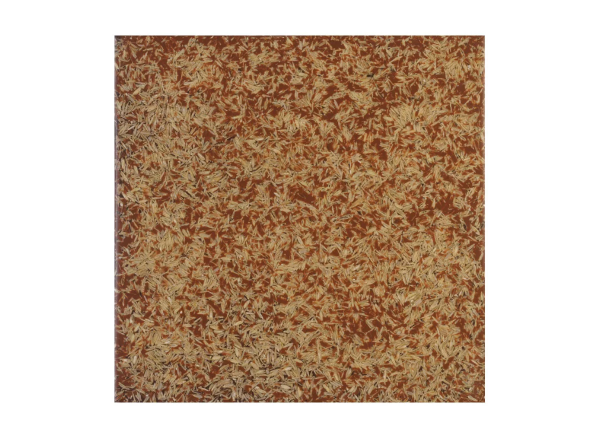 hmt-gabon-brown-polished HMT Sahara Gabon Brown Polished Doğal Laminat Panel