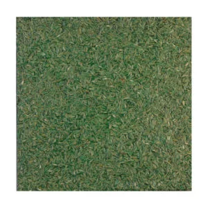HMT Sahara Gabon Green Embossed Doğal Laminat Panel