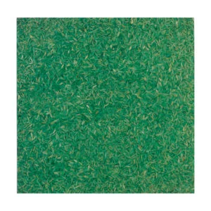 HMT Sahara Gabon Green Polished Doğal Laminat Panel