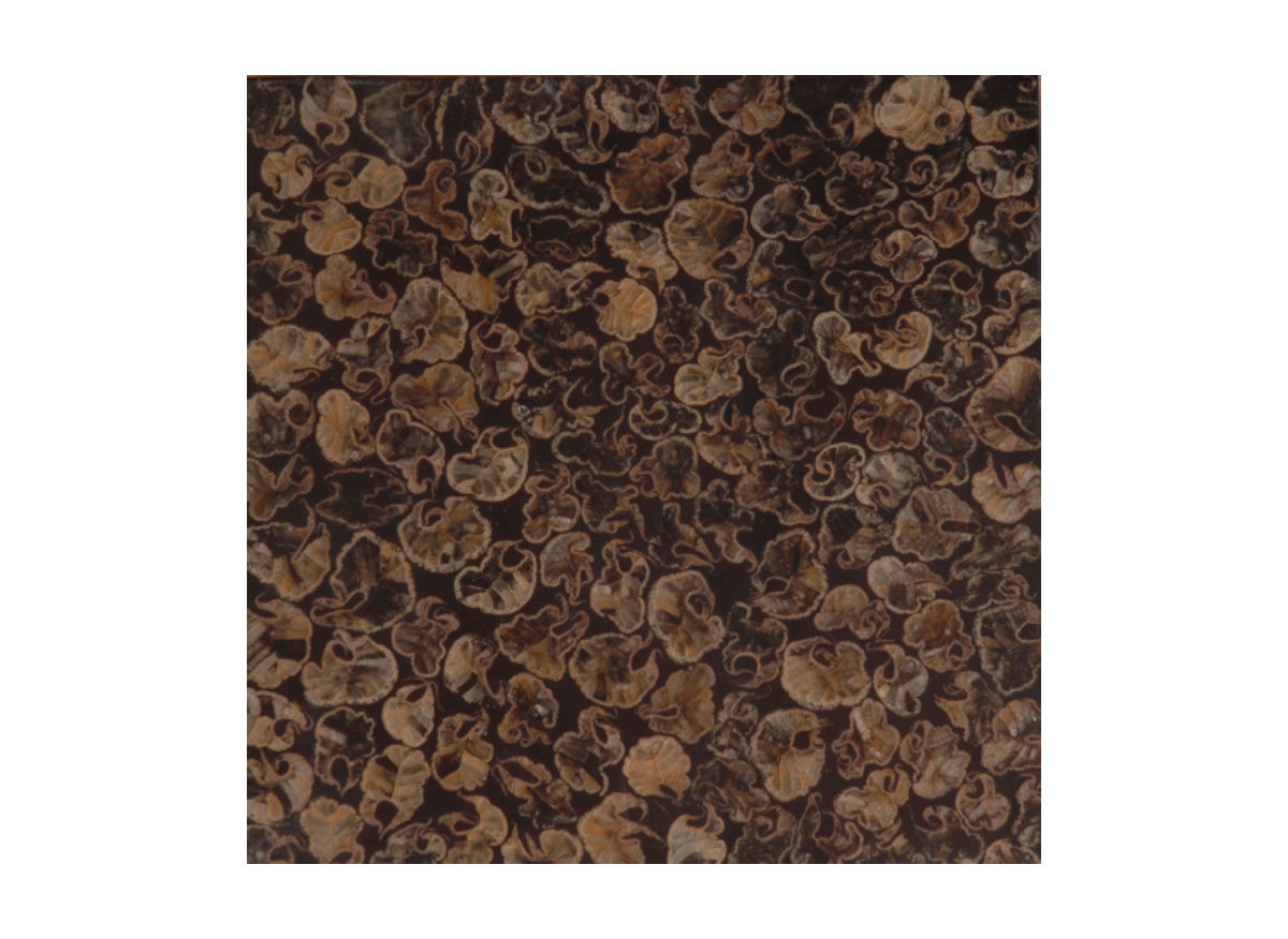 HMT Sahara Ghana Brown Matte Polished Doğal Laminat Panel