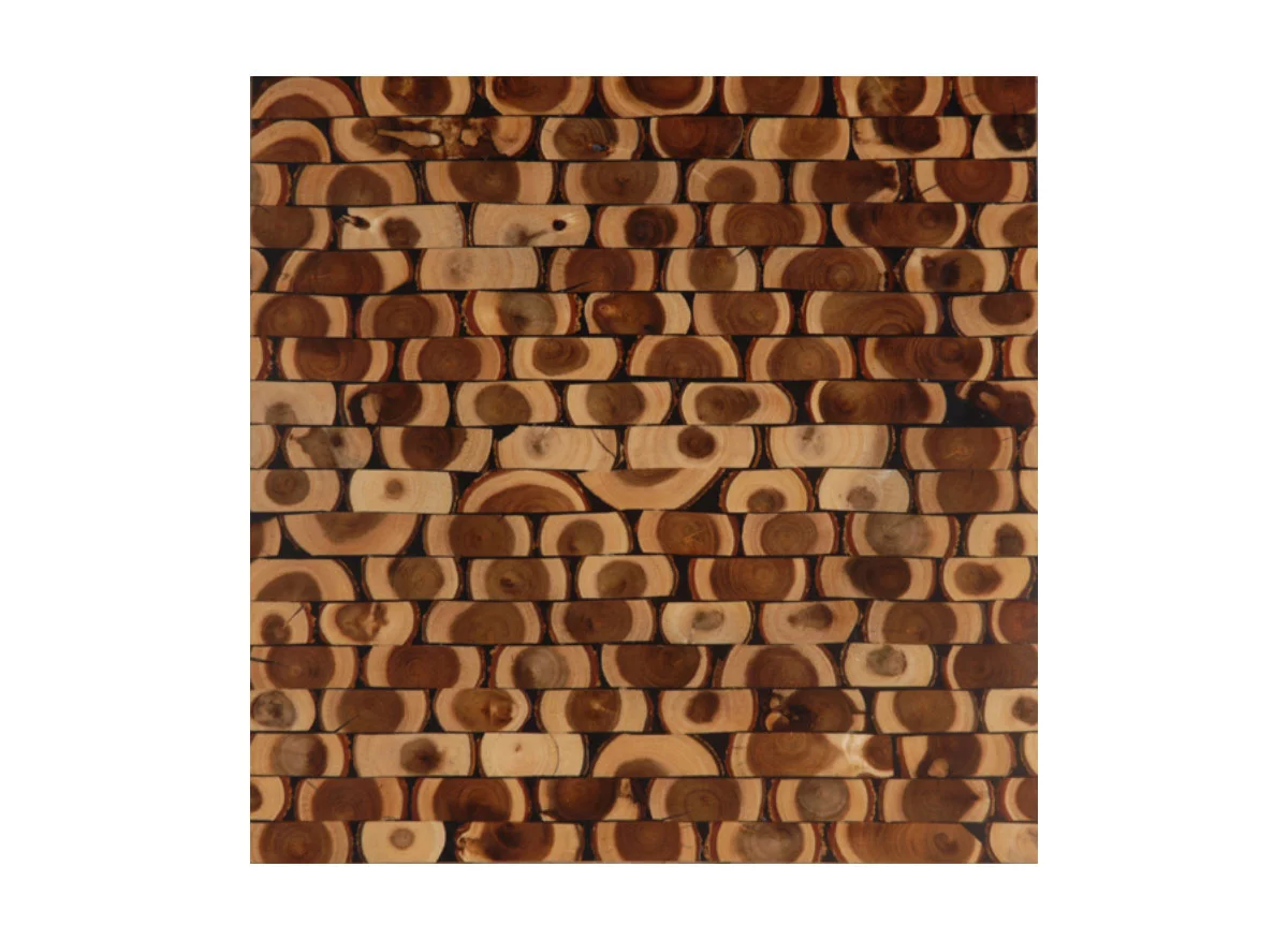 hmt-miguel-black-mat-polished HMT Palm Miguel Black Matte Polished Doğal Laminat Panel