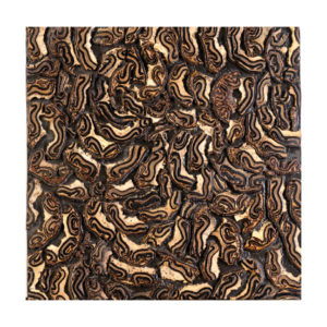 HMT Sahara Zambia Matte Doğal Laminat Panel