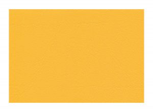 Skai Neptun Caleri Curry F6494085