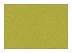 Skai Neptun Caleri Lime F6494086