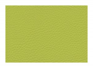 Skai Sotega Light Olive F5071016