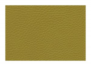 Skai Sotega Olive F5071125