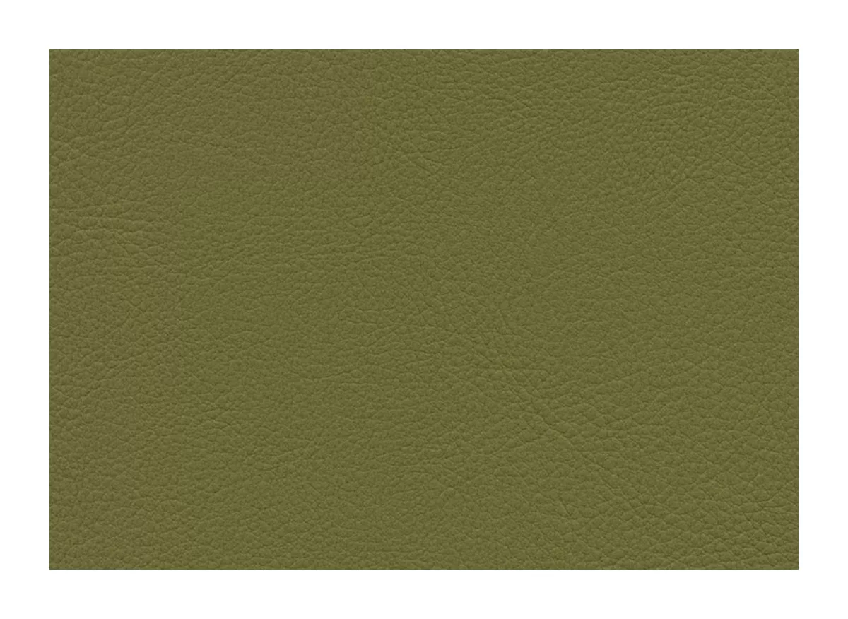 Skai VyP Nappa Moss F7901008 Teska Skai İthal suni deri mobilya ve duvar kaplaması