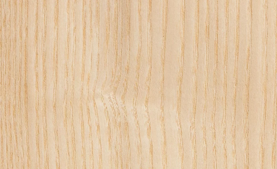 Dişbudak Kaplama Nedir?