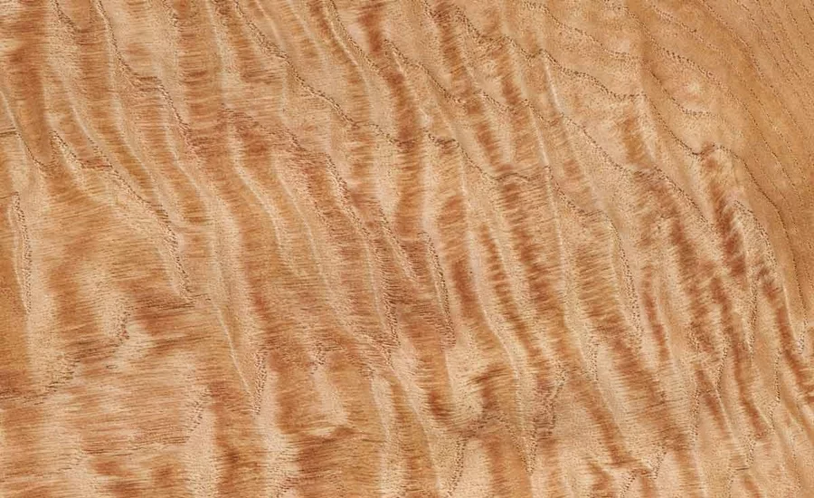 Kestane Kaplama Nedir?