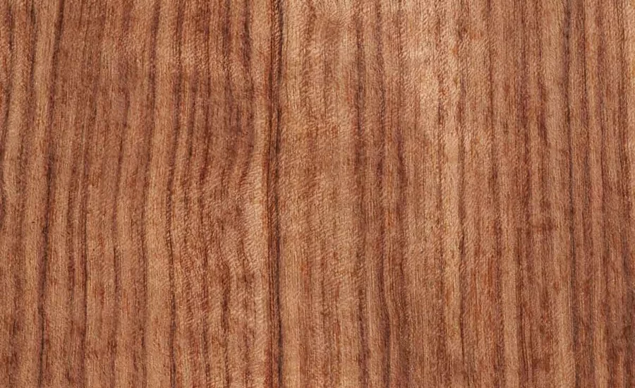 Anzem Kaplama Nedir?